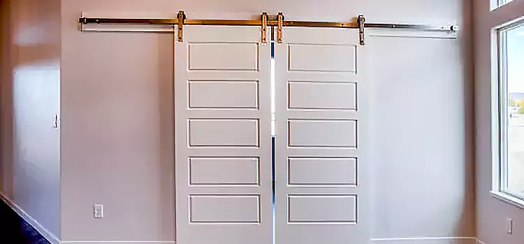 Glass Barn Door with Installation Hardware Kit Fair Oaks