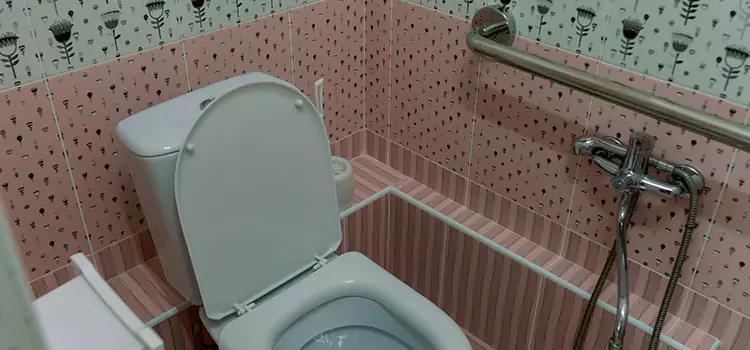 Meeting Diverse Needs With Accessible Restroom Solutions in Fair Oaks, VA