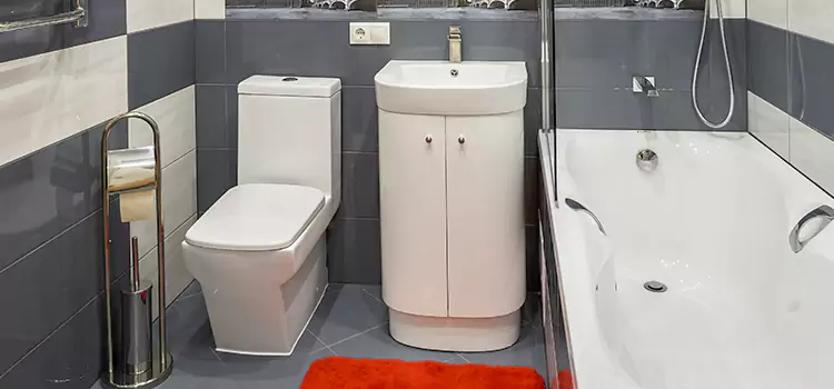 Hansgrohe Shaving Mirror Fair Oaks