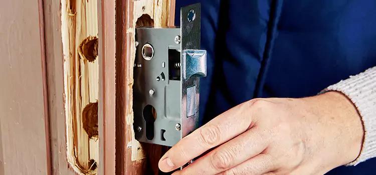 Garage Door Lock Replacement Fair Oaks